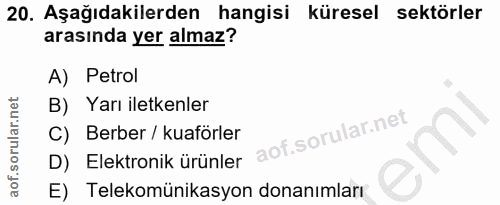 20. soru: Aşağıdakilerden hangisi küresel sektörler arasında yer almaz? A) Petrol B) Yarı iletkenler C) Berber / kuaförler D) E…