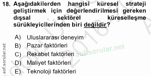 18. soru: Aşağıdakilerden hangisi küresel strateji geliştirmek için değerlendirilmesi gereken dışsal sektörel küreselleşme sürü…