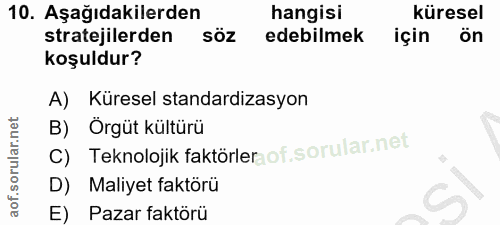 10. soru: Aşağıdakilerden hangisi küresel stratejilerden söz edebilmek için ön koşuldur? A) Küresel standardizasyon B) Örgüt kü…