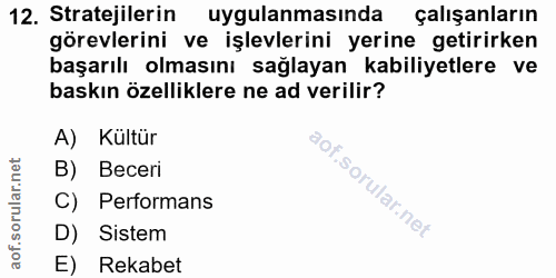 12. soru: Stratejilerin uygulanmasında çalışanların görevlerini ve işlevlerini yerine getirirken başarılı olmasını sağlayan kab…