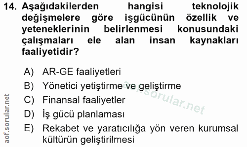 14. soru: Aşağıdakilerden hangisi teknolojik değişmelere göre işgücünün özellik ve yeteneklerinin belirlenmesi konusundaki çalı…