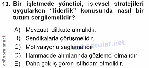13. soru: Bir işletmede yönetici, işlevsel stratejileri uygularken "liderlik" konusunda nasıl bir tutum sergilemelidir? A) Mevz…
