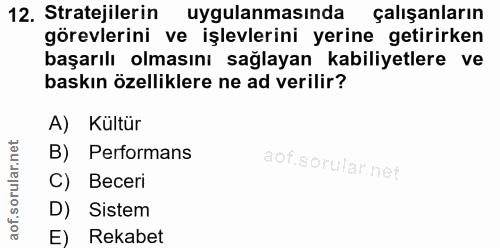 12. soru: Stratejilerin uygulanmasında çalışanların görevlerini ve işlevlerini yerine getirirken başarılı olmasını sağlayan kab…
