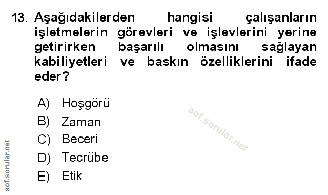 13. soru: Aşağıdakilerden hangisi çalışanların işletmelerin görevleri ve işlevlerini yerine getirirken başarılı olmasını sağlay…