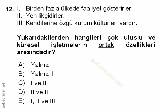 12. soru: I. Birden fazla ülkede faaliyet gösterirler. Il. Yenilikçidirler. IIl. Kendilerine özgü kurum kültürleri vardır. Yuka…