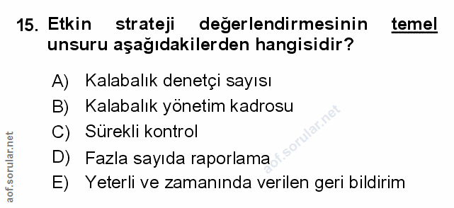 15. soru: Etkin strateji degerlendirmesinin temel unsuru aşağıdakilerden hangisidir? A) Kalabalık denetçi sayısı B) Kalabalık y…