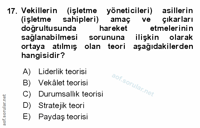 17. soru: Vekillerin (işletme yöneticileri) asillerin (işletme sahipleri) amaç ve çıkarları doğrultusunda hareket etmelerinin s…