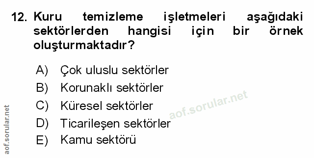 12. soru: Kuru temizleme işletmeleri aşağıdaki sektörlerden hangisi için bir örnek oluşturmaktadır? A) Çok uluslu sektörler B)…