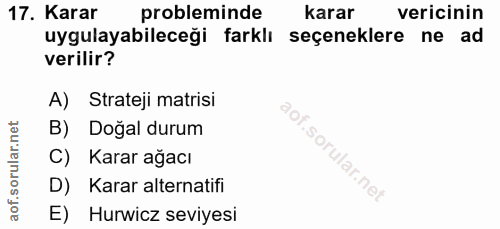 17. soru: Karar probleminde karar vericinin uygulayabileceği farklı seçeneklere ne ad verilir? A) Strateji matrisi B) Doğal dur…