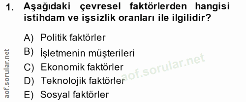 1. soru: Aşağıdaki çevresel faktörlerden hangisi istihdam ve işsizlik oranları ile ilgilidir? A) Politik faktörler B) İşletmen…