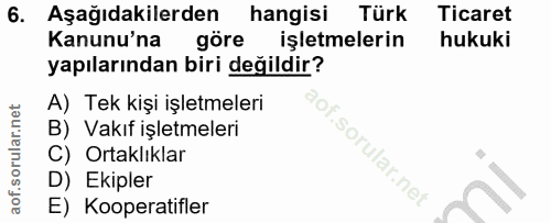 6. soru: Aşağıdakilerden hangisi Türk Ticaret Kanunu'na göre işletmelerin hukuki yapılarından biri değildir? A) Tek kişi işlet…