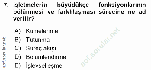 7. soru: İşletmelerin büyüdükçe fonksiyonlarının bölünmesi ve farklılaşması sürecine ne ad verilir? A) Kümelenme B) Tutunma C)…