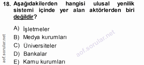 18. soru: Aşağıdakilerden hangisi ulusal yenilik sistemi içinde yer alan aktörlerden biri değildir? A) İşletmeler B) Medya kuru…