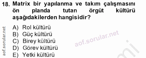 18. soru: Matrix bir yapılanma ve takım çalışmasını ön planda tutan örgüt kültürü aşağıdakilerden hangisidir? A) Rol kültürü B)…