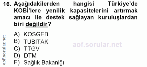 16. soru: Aşağıdakilerden hangisi Türkiye'de KOBl'lere yenilik kapasitelerini artırmak amacı ile destek sağlayan kuruluşlardan…