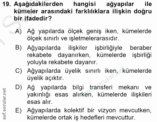 19. soru: Aşağıdakilerden hangisi ağyapılar ile kümeler arasındaki farklılıklara ilişkin doğru bir ifadedir? A) Ağ yapılarda öl…