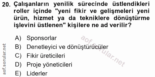 20. soru: Çalışanların yenilik sürecinde üstlendikleri roller içinde "yeni fikir ve gelişmeleri yeni ürün, hizmet ya da teknikl…