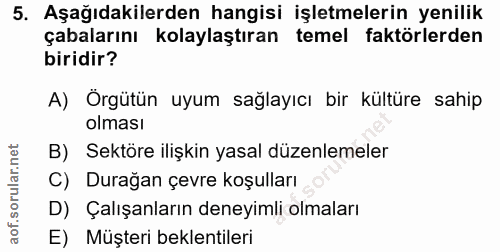 5. soru: Aşağıdakilerden hangisi işletmelerin yenilik çabalarını kolaylaştıran temel faktörlerden biridir? A) Örgütün uyum sağ…