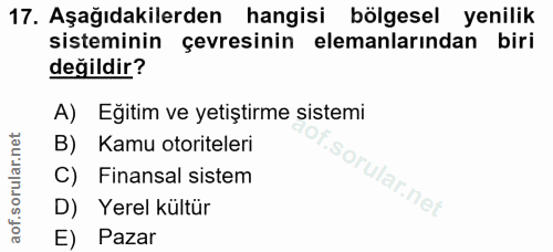 17. soru: Aşağıdakilerden hangisi bölgesel yenilik sisteminin çevresinin elemanlarından biri değildir? A) Eğitim ve yetiştirme…