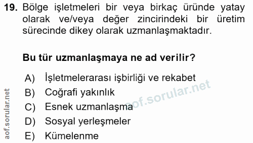 19. soru: Bölge işletmeleri bir veya birkaç üründe yatay olarak ve/veya değer zincirindeki bir üretim sürecinde dikey olarak uz…