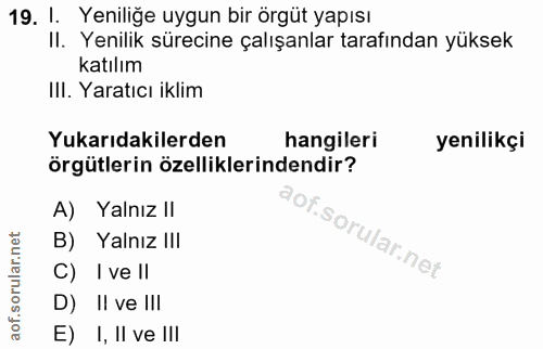 19. soru: I. Yeniliğe uygun bir örgüt yapısı II. Yenilik sürecine çalışanlar tarafından yüksek katılım III. Yaratıcı iklim Yuka…