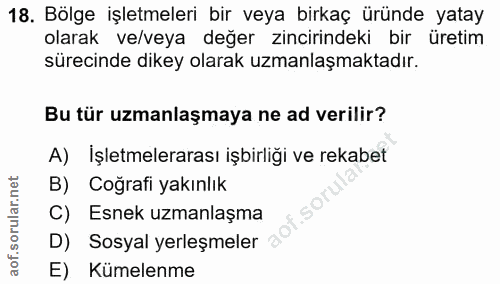 18. soru: Bölge işletmeleri bir veya birkaç üründe yatay olarak ve/veya değer zincirindeki bir üretim sürecinde dikey olarak uz…