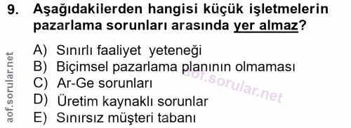 9. soru: Aşağıdakilerden hangisi küçük işletmelerin pazarlama sorunları arasında yer almaz? A) Sınırlı faaliyet yeteneği B) Bi…