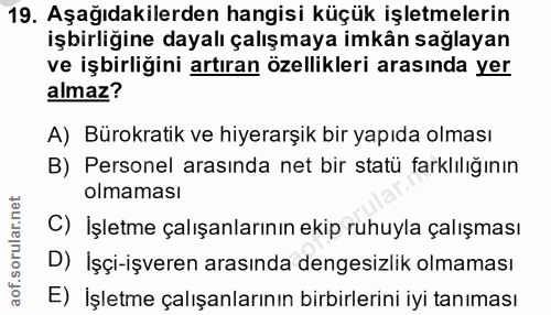 19. soru: Aşağıdakilerden hangisi küçük işletmelerin işbirliğine dayalı çalışmaya imkân sağlayan ve işbirliğini artıran özellik…
