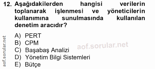 12. soru: Aşağıdakilerden hangisi verilerin toplanarak işlenmesi ve yöneticilerin kullanımına sunulmasında kullanılan denetim a…