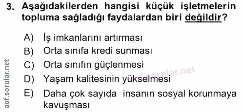 3. soru: Aşağıdakilerden hangisi küçük işletmelerin topluma sağladığı faydalardan biri değildir? A) İş imkanlarını artırması B…