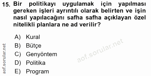 15. soru: Bir politikayı uygulamak için yapılması gereken işleri ayrıntılı olarak belirten ve işin nasıl yapılacağını safha saf…