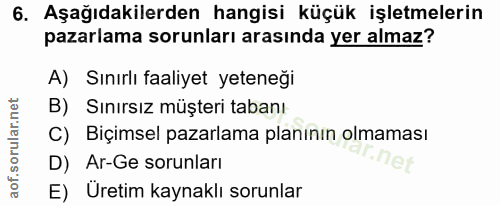 6. soru: Aşağıdakilerden hangisi küçük işletmelerin pazarlama sorunları arasında yer almaz? A) Sınırlı faaliyet yeteneği B) Sı…