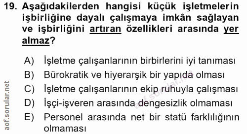 19. soru: Aşağıdakilerden hangisi küçük işletmelerin işbirliğine dayalı çalışmaya imkân sağlayan ve işbirliğini artıran özellik…