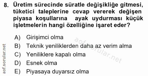 8. soru: Uretim sürecinde süratle değişikliğe gitmesi, tüketici taleplerine cevap vererek değişen piyasa koşullarına ayak uydu…