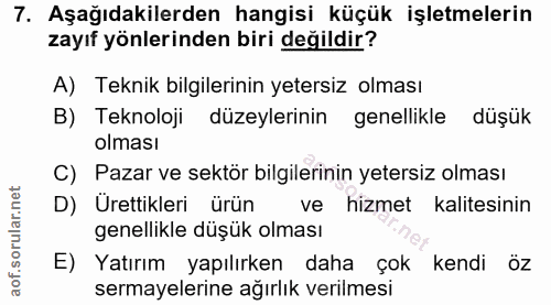 7. soru: Aşağıdakilerden hangisi küçük işletmelerin zayıf yönlerinden biri değildir? A) Teknik bilgilerinin yetersiz olması B)…