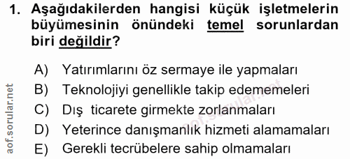 1. soru: Aşağıdakilerden hangisi küçük işletmelerin büyümesinin önündeki temel sorunlardan biri değildir? A) Yatırımlarını öz…