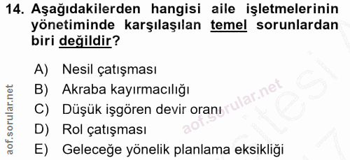 14. soru: Aşağıdakilerden hangisi aile işletmelerinin yönetiminde karşılaşılan temel sorunlardan biri değildir? A) Nesil çatışm…