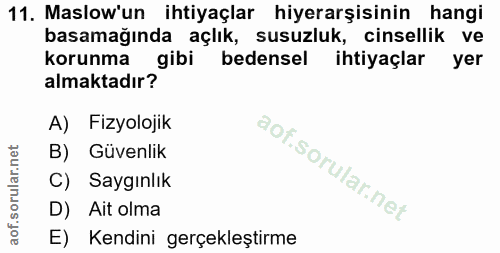 11. soru: Maslow'un ihtiyaçlar hiyerarşisinin hangi basamağında açlık, susuzluk, cinsellik ve korunma gibi bedensel ihtiyaçlar…