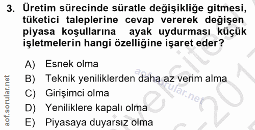 3. soru: Üretim sürecinde süratle değişikliğe gitmesi, tüketici taleplerine cevap vererek değişen piyasa koşullarına ayak uydu…