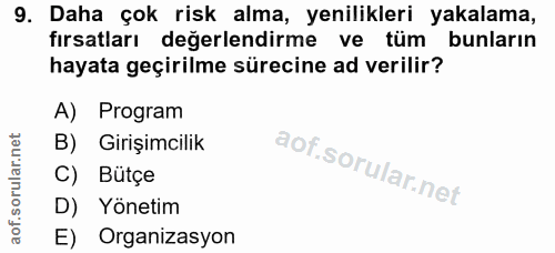 9. soru: Daha çok risk alma, yenilikleri yakalama, fırsatları değerlendirme ve tüm bunların hayata geçirilme sürecine ad veril…