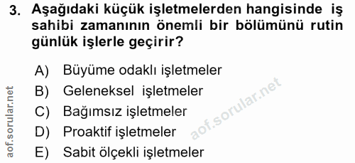 3. soru: Aşağıdaki küçük işletmelerden hangisinde iş sahibi zamanının önemli bir bölümünü rutin günlük işlerle geçirir? A) Büy…