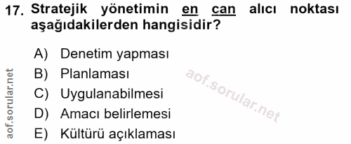17. soru: Stratejik yönetimin en can alıcı noktası aşağıdakilerden hangisidir? A) Denetim yapması B) Planlaması C) Uygulanabilm…