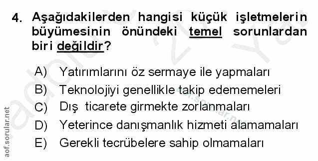 4. soru: Aşağıdakilerden hangisi küçük işletmelerin büyümesinin önündeki temel sorunlardan biri değildir? A) Yatırımlarını öz…