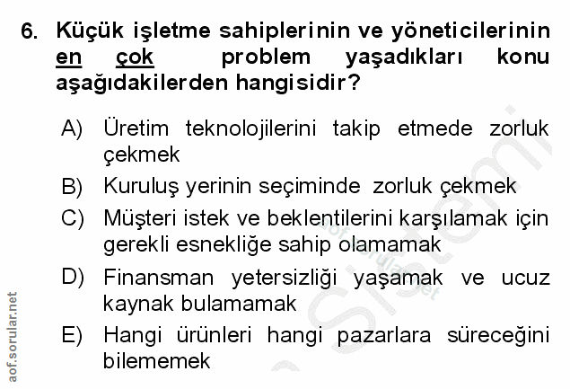 6. soru: Küçük işletme sahiplerinin ve yöneticilerinin en çok problem yaşadıkları konu aşağıdakilerden hangisidir? A) Uretim t…