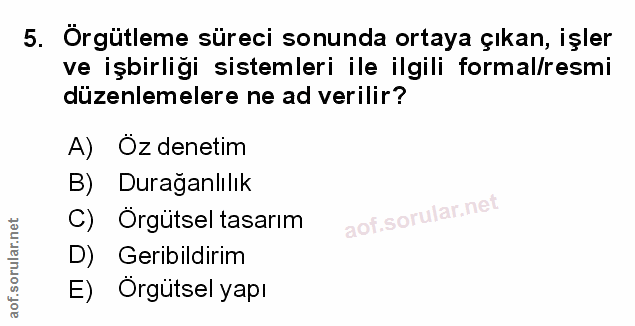 5. soru: Örgütleme süreci sonunda ortaya çıkan, işler ve işbirliği sistemleri ile ilgili formal/resmi düzenlemelere ne ad veri…