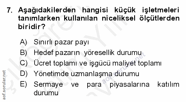 7. soru: Aşağıdakilerden hangisi küçük işletmeleri tanımlarken kullanılan niceliksel ölçütlerden biridir? A) Sınırlı pazar pay…