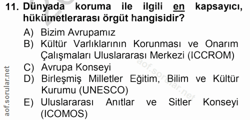 11. soru: Dünyada koruma ile ilgili en kapsayıcı, hükümetlerarası örgüt hangisidir? A) Bizim Avrupamız B) Kültür Varlıklarının…