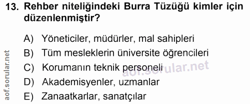 13. soru: Rehber niteliğindeki Burra Tüzüğü kimler için düzenlenmiştir? A) Yöneticiler, müdürler, mal sahipleri B) Tüm meslekle…