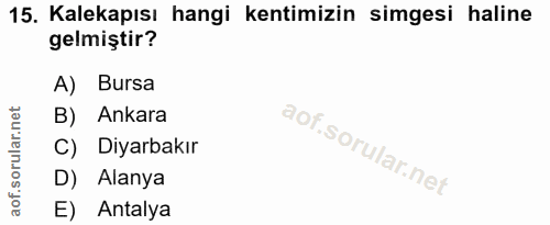 15. soru: Kalekapısı hangi kentimizin simgesi haline gelmiştir? A) Bursa B) Ankara C) Diyarbakır D) Alanya E) Antalya