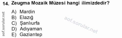 14. soru: Zeugma Mozaik Müzesi hangi ilimizdedir? A) Mardin B) Elazıg C) Şanlıurfa D) Adıyaman E) Gaziantep